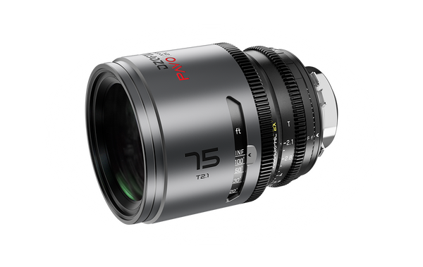 75-4_600x.png?v=1695183933