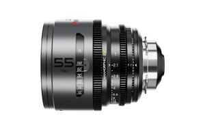 Pavo 55mm T2.1