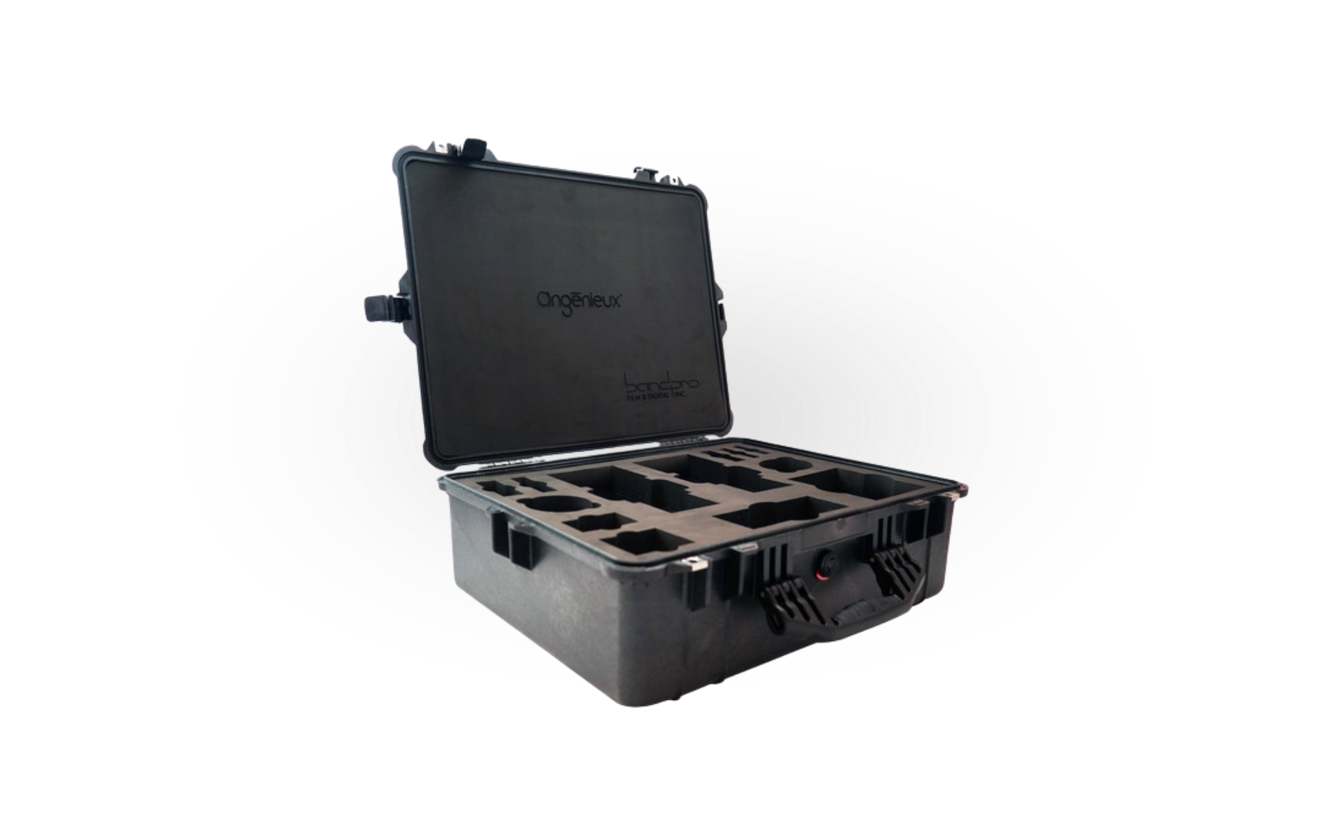 EZ Travel Case