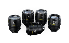 Arles_Processed_240x.png?v=