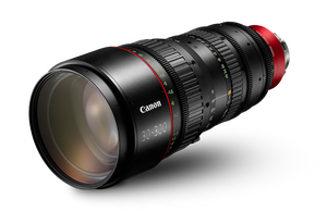 30-300mm T2.95-3.7